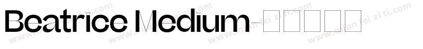 Beatrice Medium字体转换